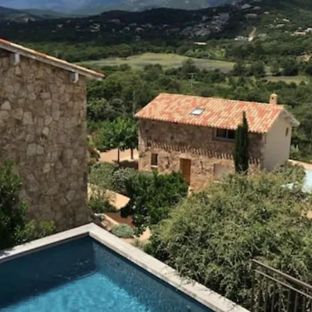 Myrte A Cirindinu Cirendinu