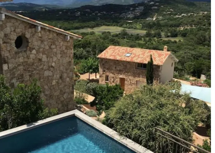 Myrte A Cirindinu Cirendinu